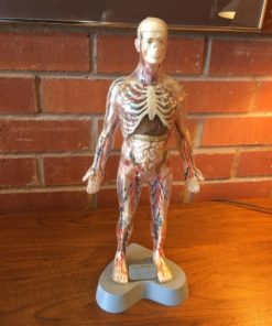 Invisible Man Model